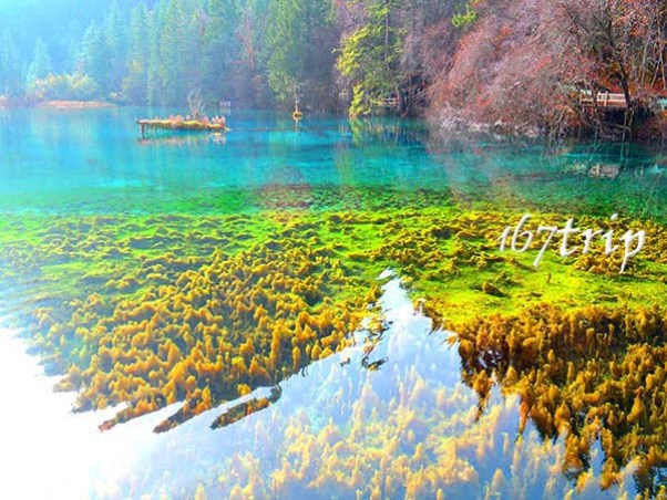 九寨溝群海