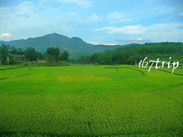 云南廣南壩美村旅游游記