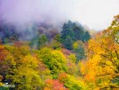 【成都到光霧山旅游】＜光霧山（米倉山）+諸葛閬中古鎮三日游＞紅葉旅游線路